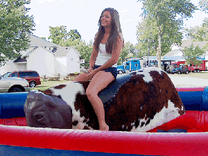 A real mechanical bull!  Call for Price;  2/20 AMP